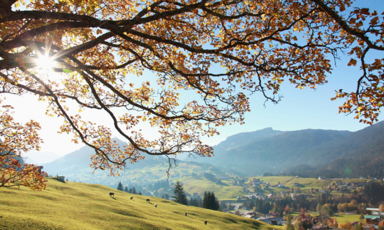 © Österreich Werbung/Kleinwalsertal-Tourismus-eGen_Frank-Drechsel